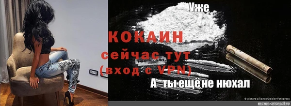 кокс Богородицк