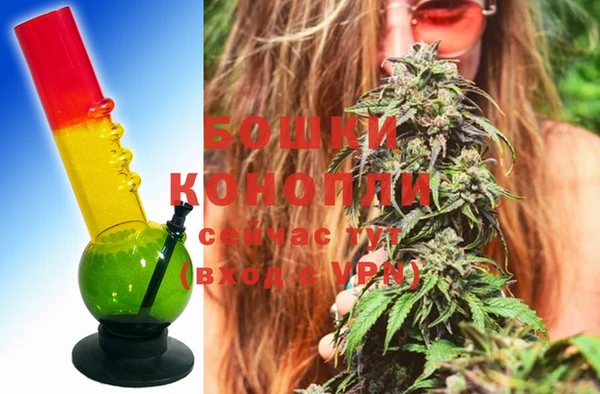 эйфоретик Бородино