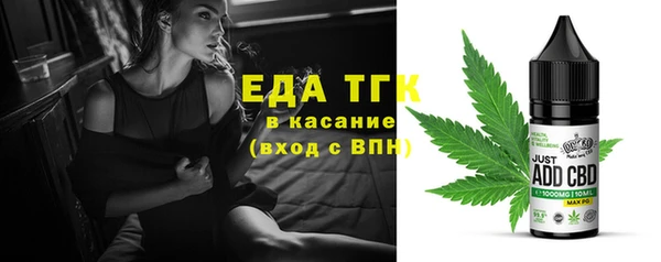 эйфоретик Бородино