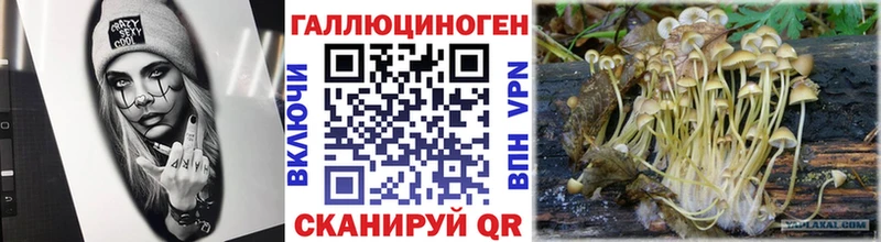 Псилоцибиновые грибы Magic Shrooms  дарнет шоп  Горячий Ключ 
